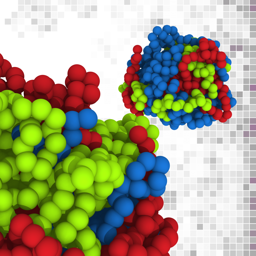 The Glass Transition Polymer and Soft Matter Dynamics